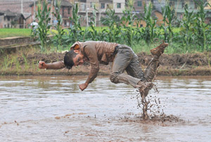 Li Binyuan's Freedom Farming (MoMA PS1, 2014)